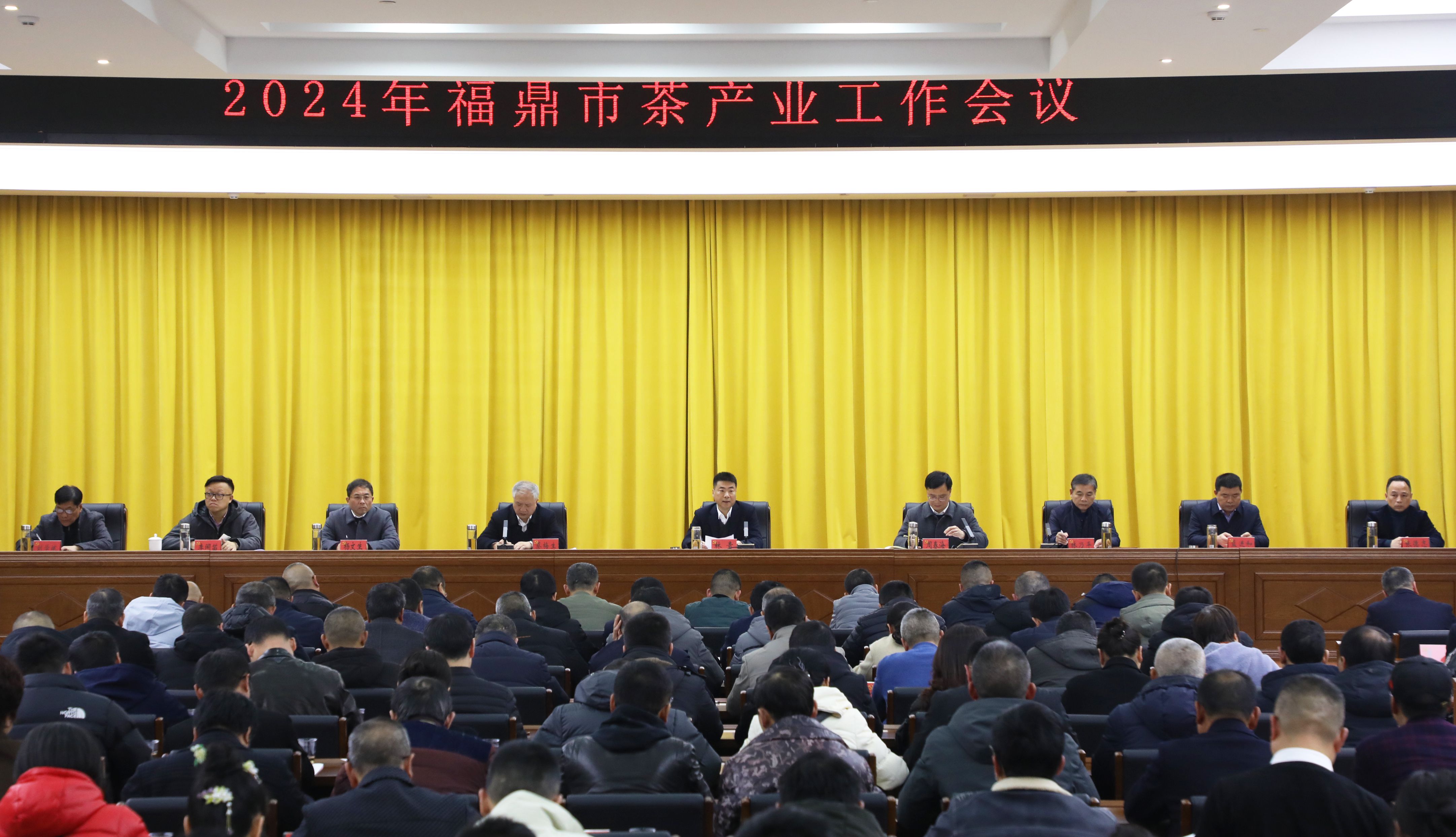 奮力開創福鼎茶產業高質量發展新局面 2024年全市茶產業工作會議召開