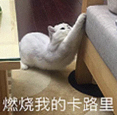 【福鼎科普】官方出手教減肥？全國各地都不同……建議收藏！