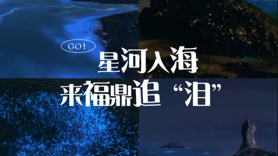 星河入海！來福鼎遇見“藍眼淚”！