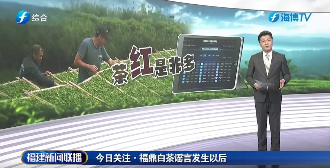 今日關注·福鼎白茶謠言發生以后
