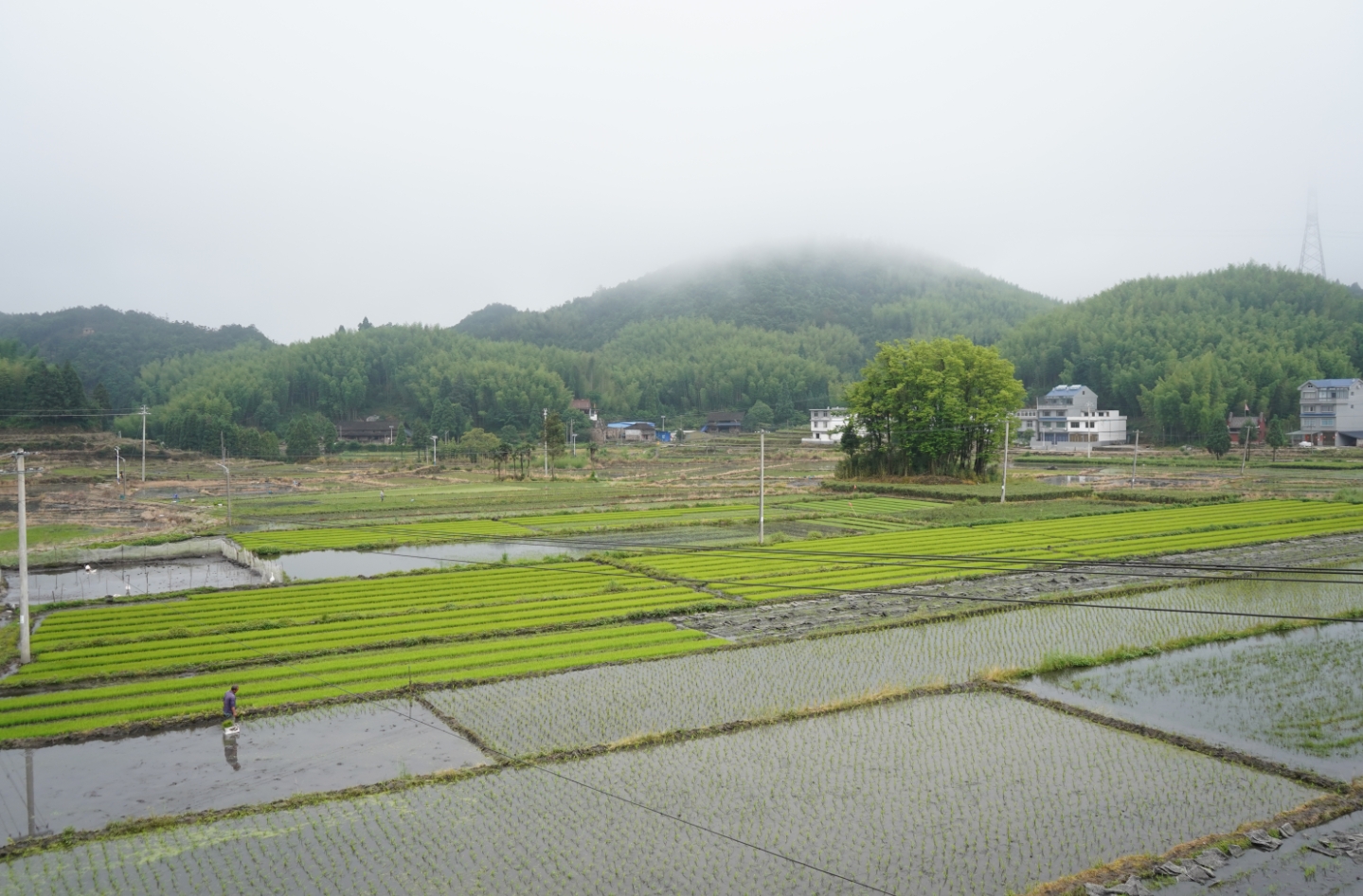 磻溪鎮整治千畝高山撂荒地，復耕“希望田”