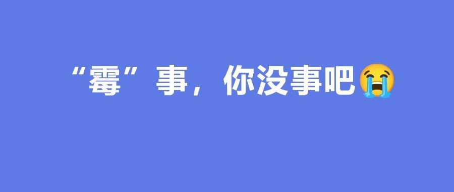 最近的天氣有多癲？干皮都不干了，人也發“霉”了