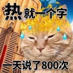 福鼎“下開水”？已老實，求放過……