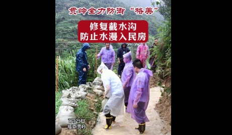 全力防御“格美”！貫嶺鎮及時修復截水溝，防止水漫入民房。