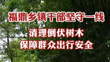 福鼎鄉鎮干部堅守抗臺一線，清理倒伏樹木，保障群眾出行安全。