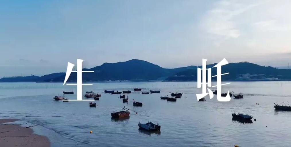 無論多遠我都朝你呼喊：“快來福鼎吃生蠔啦！