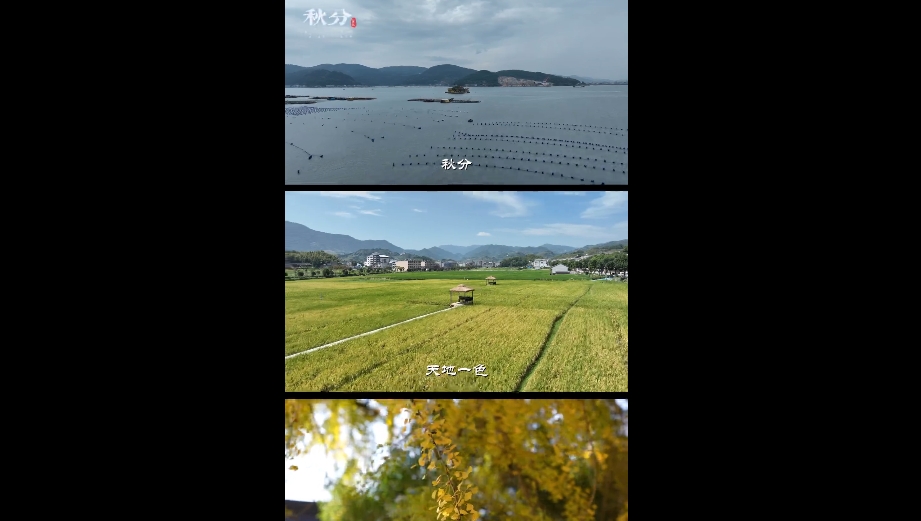 一葉落，平分秋色。萬物收，歲月無恙。耕海牧漁，風吹稻浪，這就是福鼎的秋分