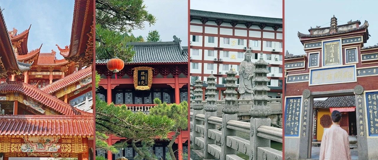 秋日出游新玩法！講究一個“緣”！
