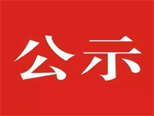 市委巡察二組向市人大常委會機關反饋巡察情況