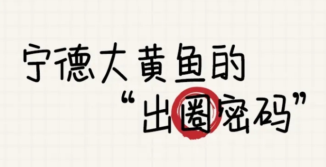 價值上百億！福建這條魚什么來頭？