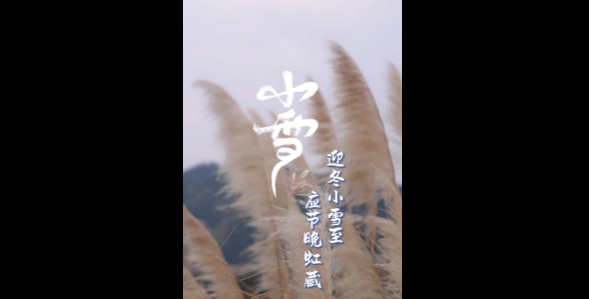 北風漸勁，草木黃落，小雪至，天漸寒，記得添衣。