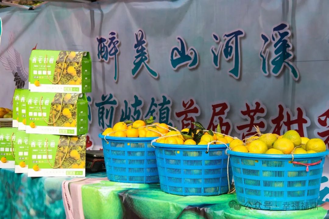 “柑”好有你！前岐，約起