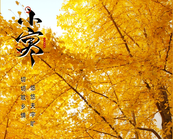 小寒已至，你什么時候回福鼎？