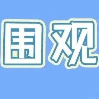 未來福鼎白茶將有哪些驚喜？明天進來看就知道！