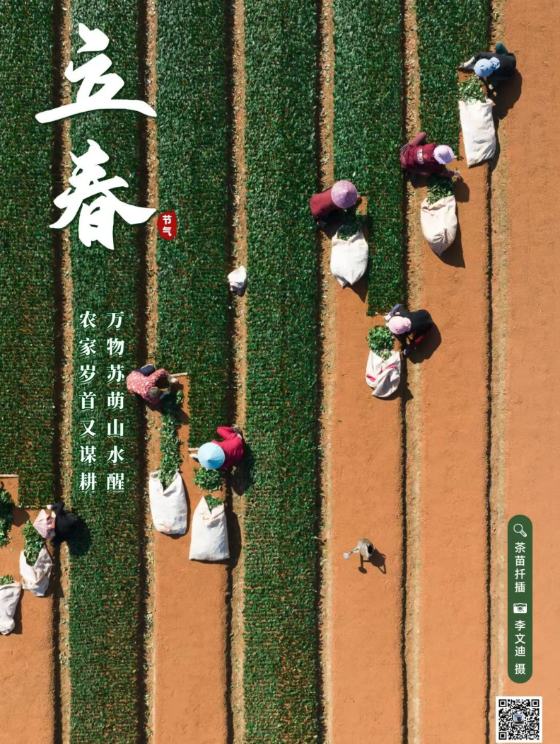 立春已至，四季初始！