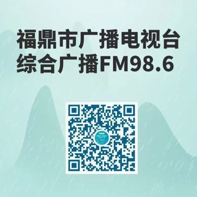 福鼎茶緣丨點頭鎮