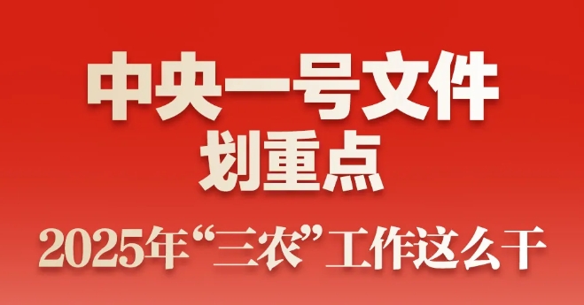 中央一號文件劃重點！