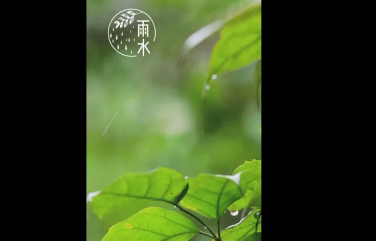 絲絲雨水滋潤心田，春回大地萬物更新。雨水節氣，讓我們共同期待美好的未來，享受大自然的恩賜。