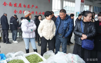 2025年福鼎白茶大數據溯源平臺今日正式開啟！