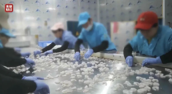 查封！關停！各地多部門連夜查處3·15曝光問題