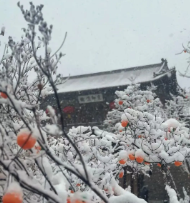 你在北方看3月的雪，我在福鼎……