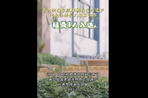 第六批國家級非物質文化遺產代表性傳承人名單公布，福鼎白茶制作技藝非遺傳承人林振傳入選