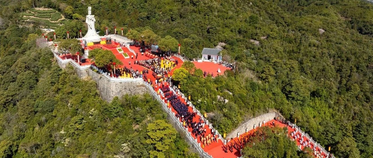 震撼！這就是中國白茶始祖的排面！