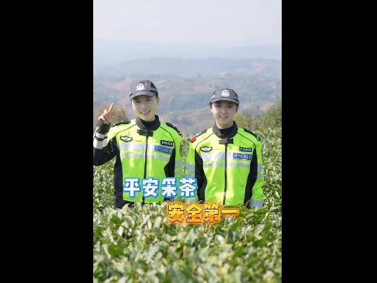 “馕言文”的風終究還是吹到了福鼎