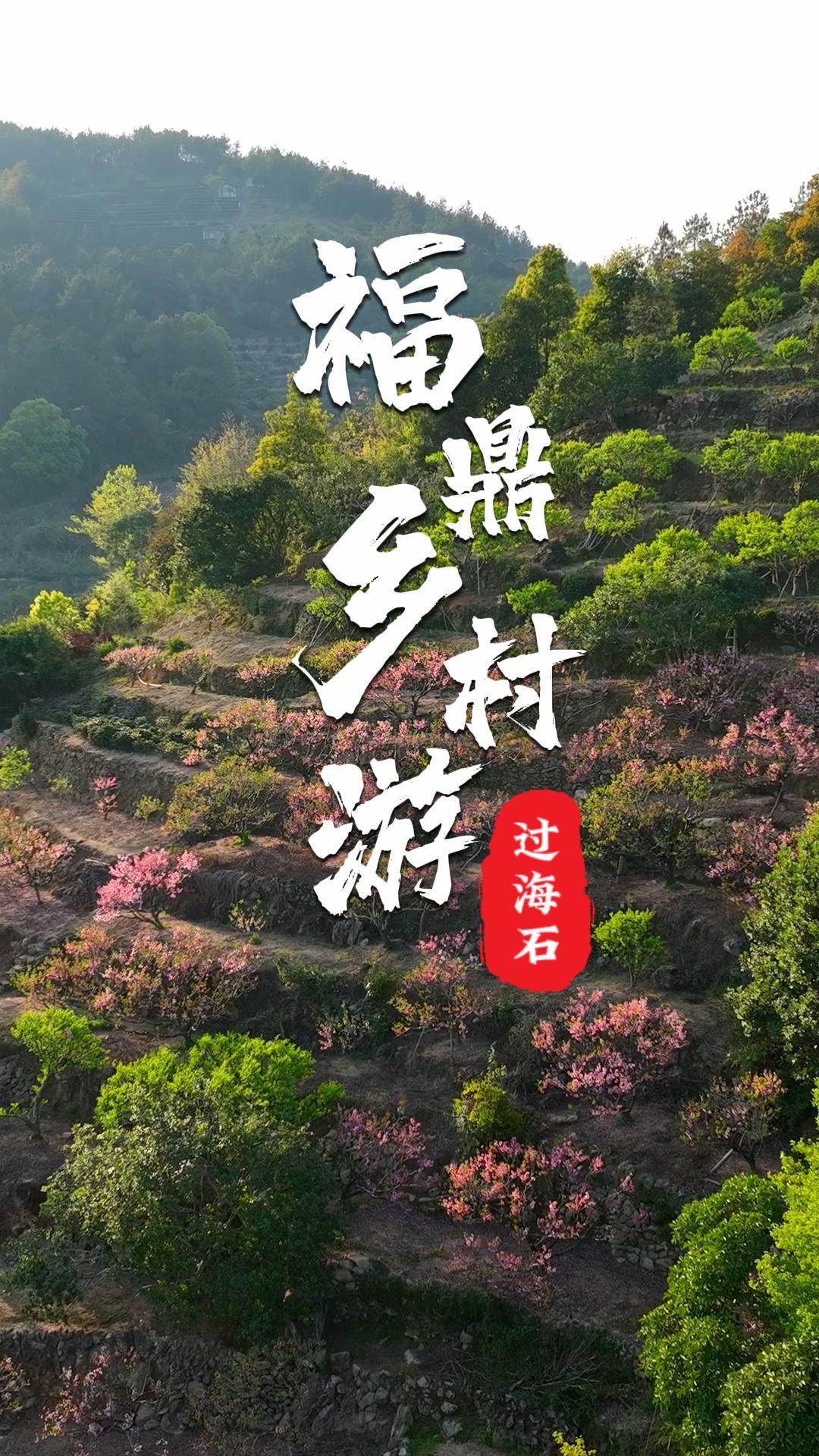 三生三世十里桃花，我在前岐鎮過海石村尋到了江南的春信