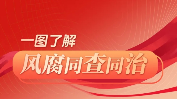 一圖了解｜何為風腐同查同治？