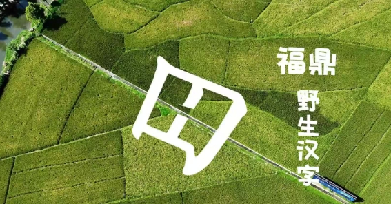 當福鼎的自然風光遇上“野生”漢字，一撇一捺都在勾勒獨屬于福鼎的美麗景色！