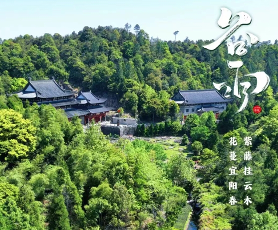 春季的最后一個節氣，要做這些事