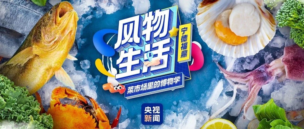 福鼎海鮮有多鮮？央視來探秘→
