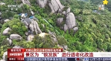 爬山電梯、軌道車助游太姥，還有更多活動等你來體驗
