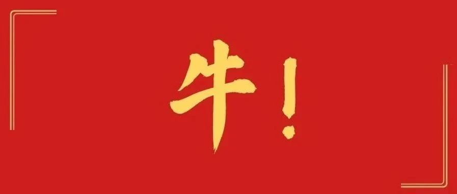 福鼎實火！又雙叒叕上央視了！