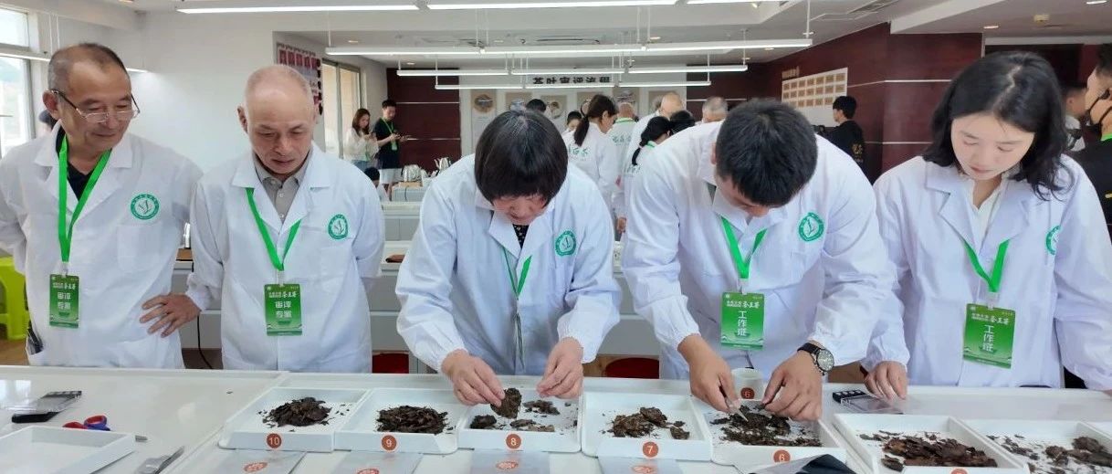 首屆全國福鼎老白茶茶王賽開賽！