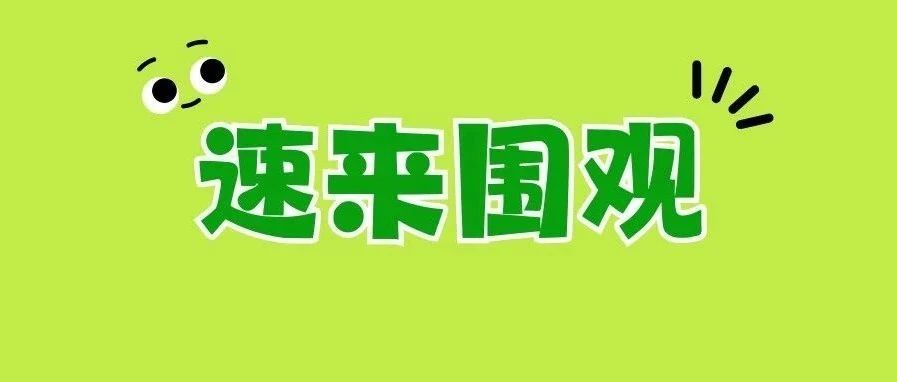 首屆全國福鼎老白茶茶王賽茶王揭曉！獲獎的是……