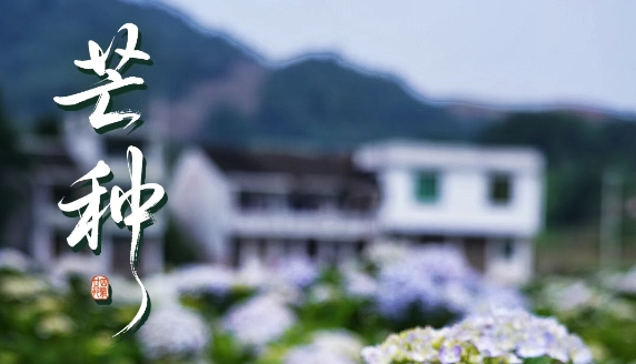 “芒”有所獲，“種”有所得