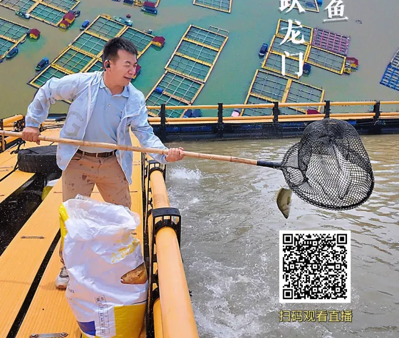 明天9點！央廣網與你相約福鼎……