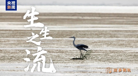 生生之流——水口水電站助力閩江綠色發展