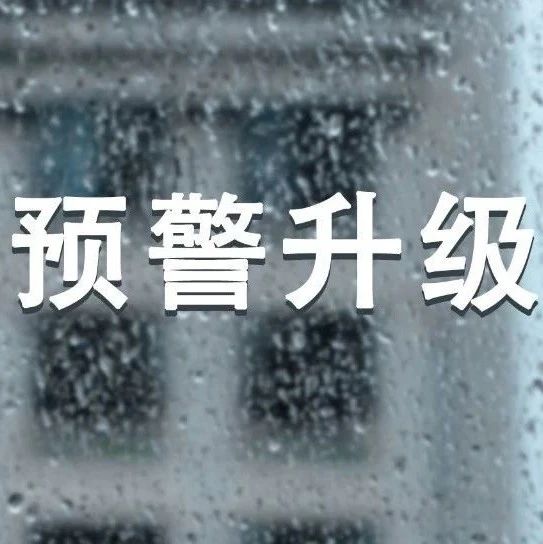 臺風“韋帕”登陸！福鼎將“暴雨預警”提升至Ⅲ級